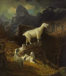 Cabras de las Montañas Rocosas